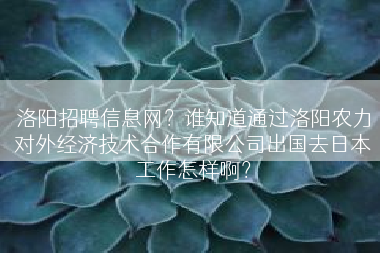 洛阳招聘信息网？谁知道通过洛阳农力对外经济技术合作有限公司出国去日本工作怎样啊？