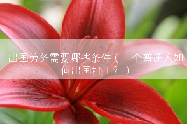 出国劳务需要哪些条件（一个普通人如何出国打工？）