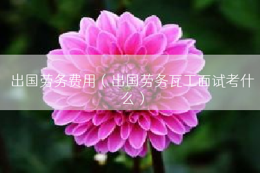 出国劳务费用（出国劳务瓦工面试考什么）