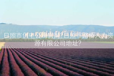 日照市供电公司官网?日照市路桥人力资源有限公司地址?