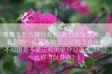 芙蓉王怎么辨别真假(我想出国劳务，我看到的一些劳务输出公司的工资很高，不知道是不是正规的中介公司，请问怎么样可以查询？)