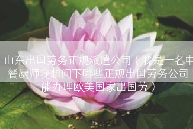 山东出国劳务正规派遣公司（我是一名中餐厨师我想问下哪些正规出国劳务公司能办理欧美国家出国劳）