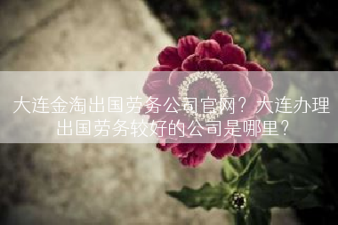 大连金淘出国劳务公司官网？大连办理出国劳务较好的公司是哪里？