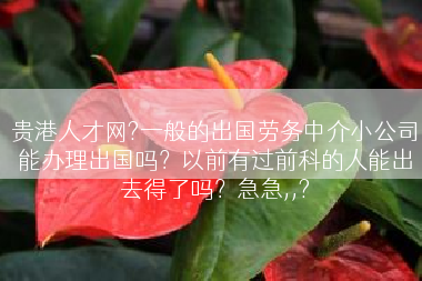 贵港人才网?一般的出国劳务中介小公司能办理出国吗？以前有过前科的人能出去得了吗？急急,,?