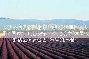 长沙疫情最新消息今天(我想出国打工去哪个国家打工比较好,工资比较高?如果去的话应该怎么去?怎样的流程?)