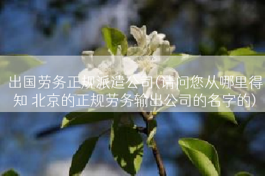 出国劳务正规派遣公司(请问您从哪里得知 北京的正规劳务输出公司的名字的)