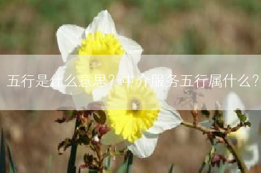 五行是什么意思？中介服务五行属什么？