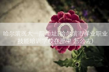 哈尔滨医大一院地址(哈尔滨市祥业职业技能培训学校在那里 怎么去)