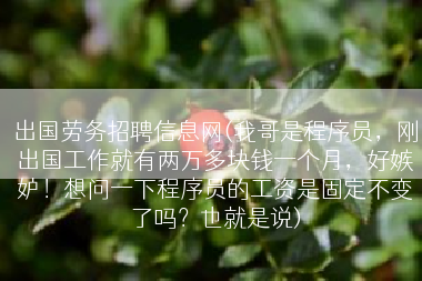 出国劳务招聘信息网(我哥是程序员，刚出国工作就有两万多块钱一个月，好嫉妒！想问一下程序员的工资是固定不变了吗？也就是说)