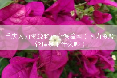 重庆人力资源和社会保障网（人力资源管理是干什么呢）