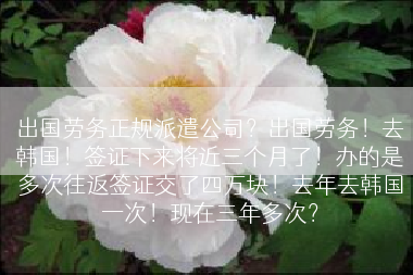 出国劳务正规派遣公司？出国劳务！去韩国！签证下来将近三个月了！办的是多次往返签证交了四万块！去年去韩国一次！现在三年多次？