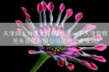天津网上办事大厅(帮忙查一下天津智辉劳务派遣有限公司是合法企业吗)