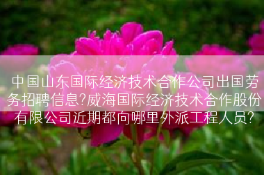 中国山东国际经济技术合作公司出国劳务招聘信息?威海国际经济技术合作股份有限公司近期都向哪里外派工程人员?