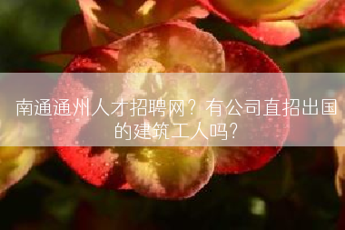 南通通州人才招聘网？有公司直招出国的建筑工人吗？