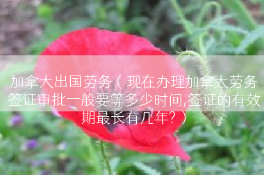 加拿大出国劳务（现在办理加拿大劳务签证审批一般要等多少时间,签证的有效期最长有几年?）