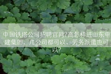 中国铁塔公司招聘官网?高怎样进山东电建集团，几公司都可以，劳务派遣也可以?