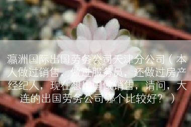 瀛洲国际出国劳务公司天津分公司（本人做过销售，做过服务员，还做过房产经纪人，现在想出国做销售，请问，大连的出国劳务公司哪个比较好？）