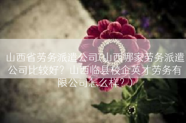 山西省劳务派遣公司(山西哪家劳务派遣公司比较好？山西临县校企英才劳务有限公司怎么样？)