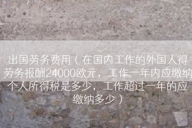 出国劳务费用（在国内工作的外国人得劳务报酬24000欧元，工作一年内应缴纳个人所得税是多少，工作超过一年的应缴纳多少）