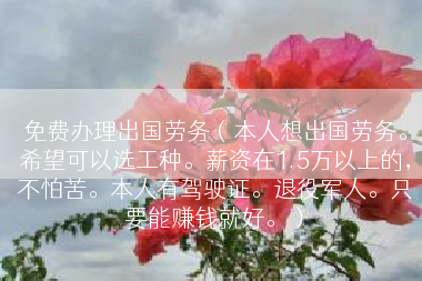 免费办理出国劳务（本人想出国劳务。希望可以选工种。薪资在1.5万以上的，不怕苦。本人有驾驶证。退役军人。只要能赚钱就好。）