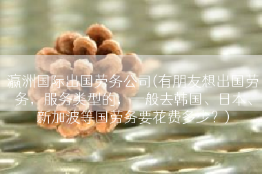 瀛洲国际出国劳务公司(有朋友想出国劳务，服务类型的，一般去韩国、日本、新加波等国劳务要花费多少？)