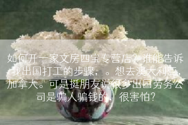 如何开一家文房四宝专营店？谁能告诉我出国打工的步骤，。想去澳大利亚，加拿大。可是挺朋友说很多出国劳务公司是骗人骗钱的，很害怕？