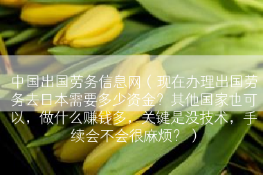 中国出国劳务信息网（现在办理出国劳务去日本需要多少资金？其他国家也可以，做什么赚钱多，关键是没技术，手续会不会很麻烦？）
