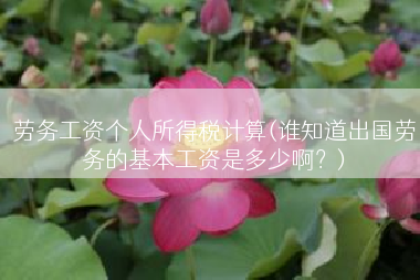 劳务工资个人所得税计算(谁知道出国劳务的基本工资是多少啊？)