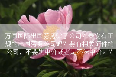 万国国际出国劳务骗子公司？泰安有正规的出国劳务公司吗？要有相关证件的公司，不要黑中介或者是不法中介。？