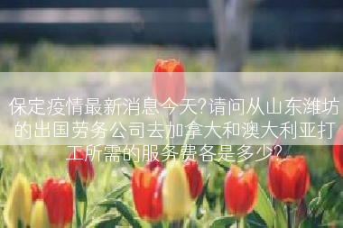 保定疫情最新消息今天?请问从山东潍坊的出国劳务公司去加拿大和澳大利亚打工所需的服务费各是多少?