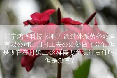 辽宁鸿飞科技 招聘？通过外派劳务派遣有限公司出国打工去公证处做了公证 但是现在在打黑工 这样需要负法律责任吗 但是没有？