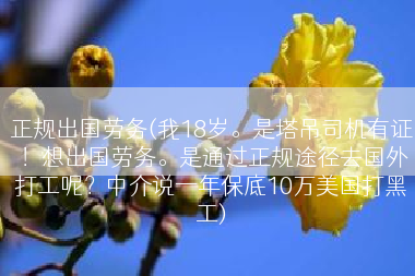 正规出国劳务(我18岁。是塔吊司机有证！想出国劳务。是通过正规途径去国外打工呢？中介说一年保底10万美国打黑工)