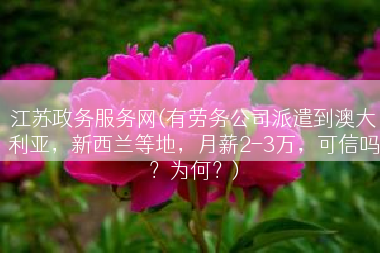 江苏政务服务网(有劳务公司派遣到澳大利亚，新西兰等地，月薪2-3万，可信吗？为何？)