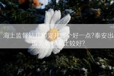 海上监督钻井和完井哪个好一点?泰安出国劳务哪家比较好?