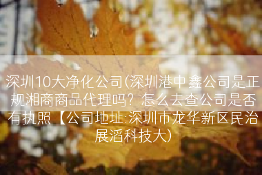 深圳10大净化公司(深圳港中鑫公司是正规湘商商品代理吗？怎么去查公司是否有执照【公司地址:深圳市龙华新区民治展滔科技大)