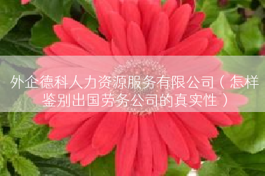 外企德科人力资源服务有限公司（怎样鉴别出国劳务公司的真实性）