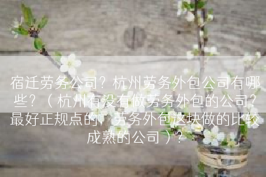 宿迁劳务公司？杭州劳务外包公司有哪些？（杭州有没有做劳务外包的公司？最好正规点的，劳务外包这块做的比较成熟的公司）？