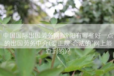 中国国际出国劳务网?沈阳有哪些好一点的出国劳务中介(要正规`合法的`网上能查到的)?