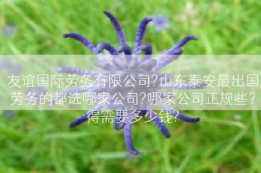 友谊国际劳务有限公司?山东泰安最出国劳务的都选哪家公司?哪家公司正规些？得需要多少钱?