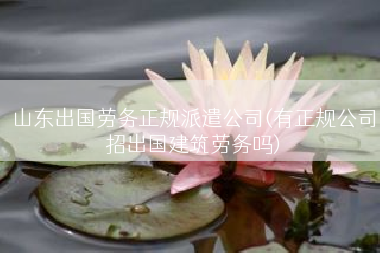 山东出国劳务正规派遣公司(有正规公司招出国建筑劳务吗)