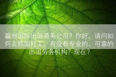 瀛洲国际出国劳务公司？你好，请问如何去韩国打工，有没有专业的，可靠的出国劳务机构？现在？