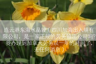 连云港东海水晶城（四川加海出入境有限公司，是一家正规的劳务输出公司吗？我办理到加拿大劳务以一年的时间了，无任何消息）