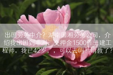 出国劳务中介？湖南国湘劳务公司，介绍我出国到非洲，交押金1500作土建工程师，我已42岁，，可以去吗？请教了？