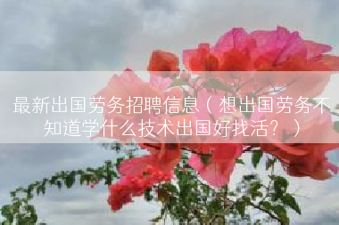 最新出国劳务招聘信息（想出国劳务不知道学什么技术出国好找活？）
