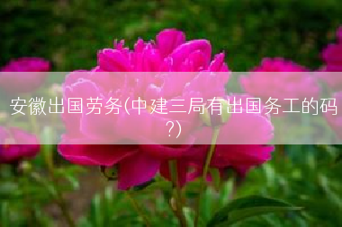 安徽出国劳务(中建三局有出国务工的码?)