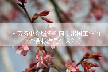 出国劳务中介服务合同（出国工作的中介费标准是什么？）