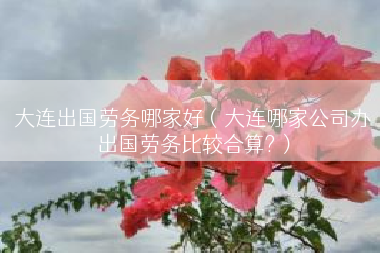 大连出国劳务哪家好（大连哪家公司办出国劳务比较合算?）