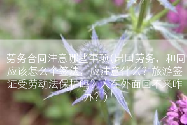 劳务合同注意哪些事项(出国劳务，和同应该怎么个签法，应注意什么？旅游签证受劳动法保护吗？人在外面回不来咋办？)