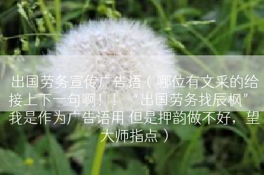 出国劳务宣传广告语（哪位有文采的给接上下一句啊！！“出国劳务找辰枫” 我是作为广告语用 但是押韵做不好，望大师指点）