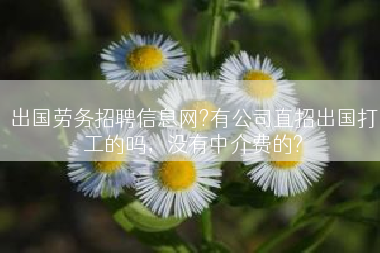 出国劳务招聘信息网?有公司直招出国打工的吗，没有中介费的?